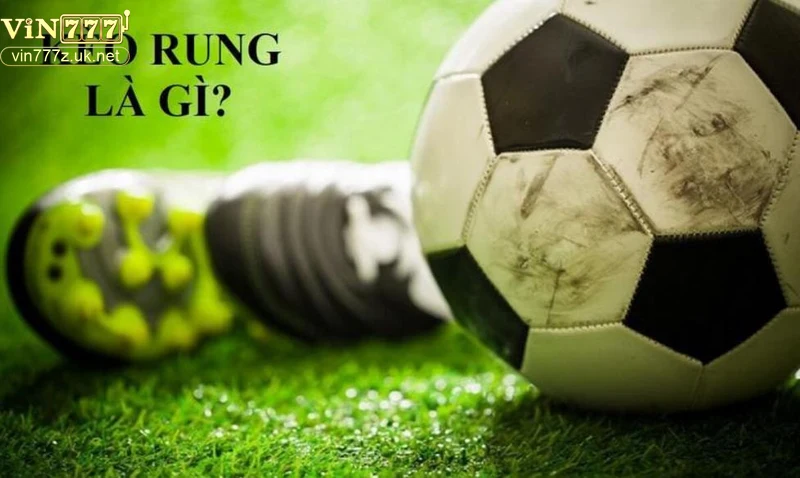Ứng dụng và lưu ý khi chơi kèo rung