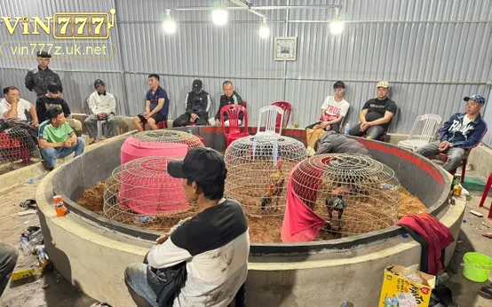 Danh sách và phân tích top 5 trường gà nổi bật hiện nay