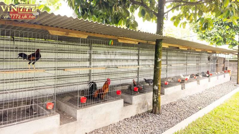 Chế độ dinh dưỡng hợp lý